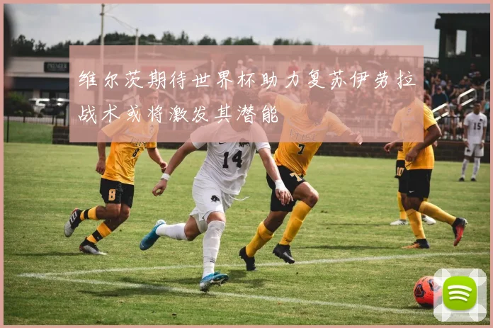 维尔茨期待世界杯助力复苏伊劳拉战术或将激发其潜能